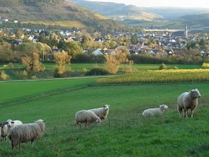 Blick auf Schweich