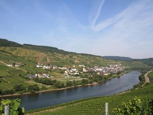 Reil/Mosel