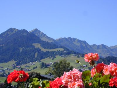 Aussicht mit Blick zum Walmendingerhorn