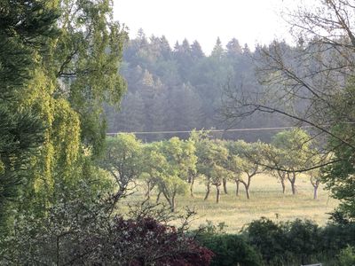 Blick vom Garten nach Norden