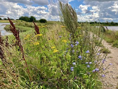 Impressionen Wanderweg Holnis