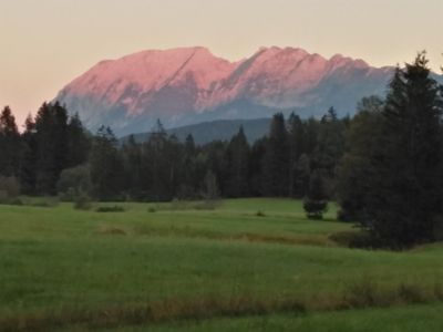 Hochmoor Bad Mitterndorf