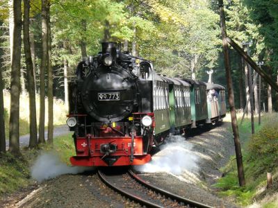 Fichtelbergbahn Cranzahl – Kurort Oberwiesenthal