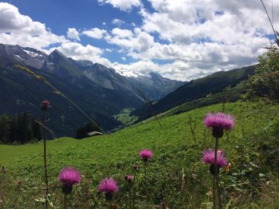 Bergwelt Tuxertal