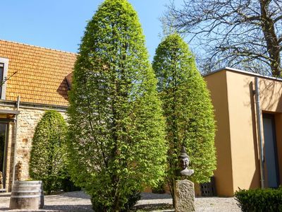 Sommerambiente im Hof