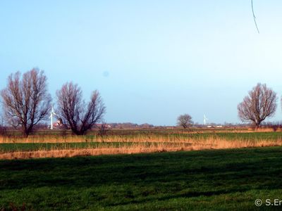 Blick über die Meede nach Pilsum