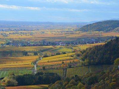 Aussichtspunkt Hambacher Schloß