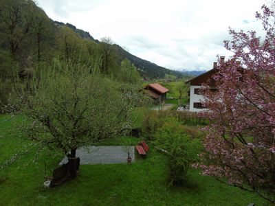 Ausblick im Sommer