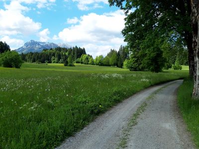 Aussicht auf den Zahmen Kaiser