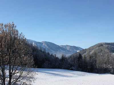 Aussicht auf die Wiese