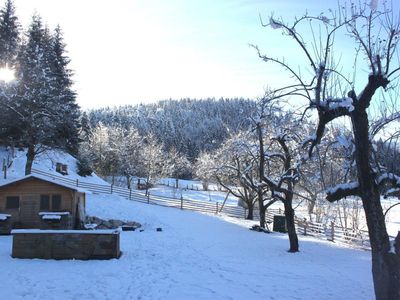 Blick auf den Garten Süd