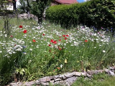 Landhaus Grimburg, Grimburg, Garten Blumenbeet