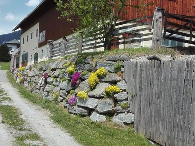 blühende Steinmauer beim Stall