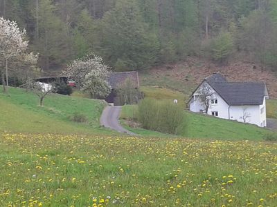 Ferienwohnung Waldblick im Frühling