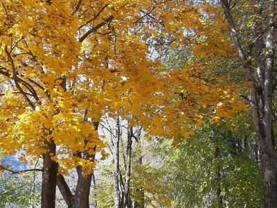 Herbststimmung