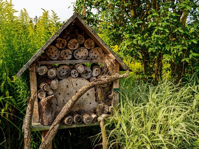 Insektenhotel