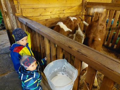 Stallbesuch Kinder