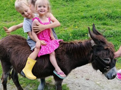 voltahof-esel-kinder-reiten