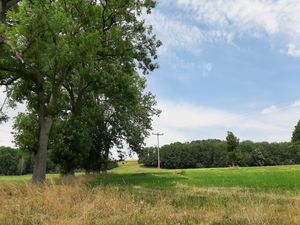 Blick aus Ferienwohnung Richtung Wald