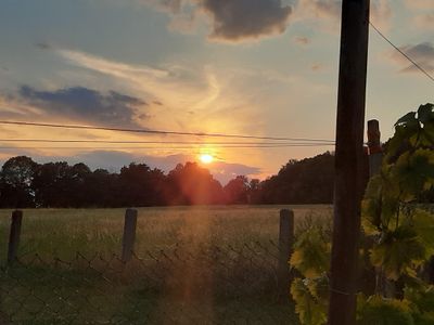 Blick von Gartensitzecke