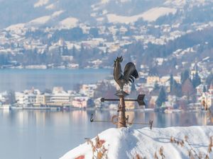 winterwetterhahn