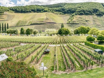 Blick von der Terrasse auf die Weinberge