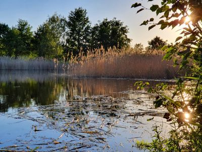 Teich in der OHTL