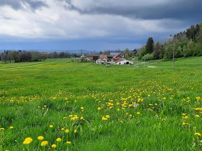 Unser Hof im Frühling