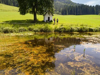 Kaiserwinkl_Sommerurlaub_MoorgebietSchwemm (3)