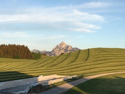 Ausblick Heuernte