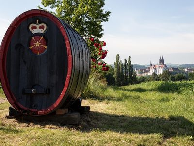 Blick vom Weinberg Schloss Proschwitz