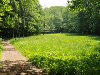 Der Rad- und Wanderweg nach Rochlitz