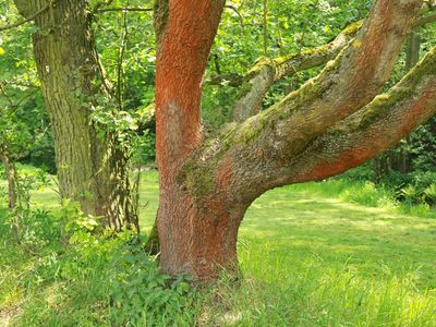 Am Rad- und Wanderweg nach Rochlitz