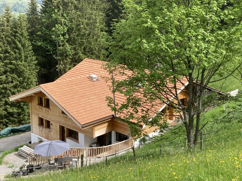 Chalet Chuebaechi im Sommer