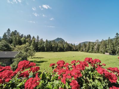 Scheffau_Bärnstatt_Aussicht_WilderKaiser