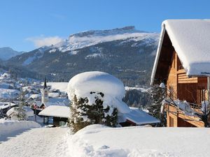 Winteransicht mit Ifenpanorama