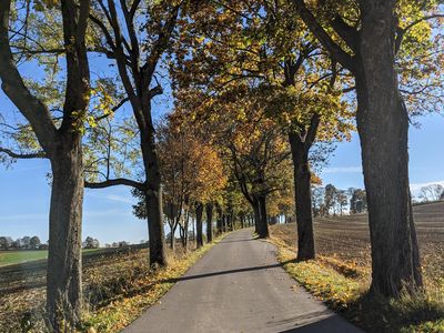 Allee in Richtung Annaberg