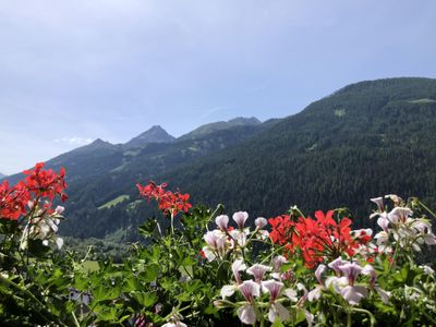 Schlossnerhof Bergblick