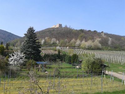 Ausblick von der Terrasse