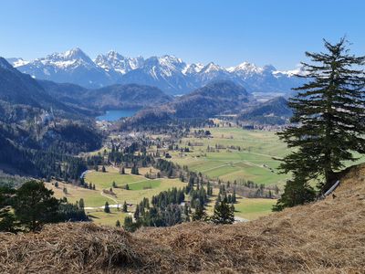 Die Allgäuer Alpen mit Schloss Neuschwanstein