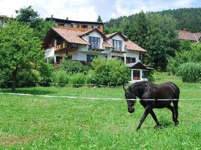 Garten mit Haus