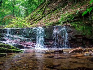 Kaskadenschlucht Gersfeld im Juni