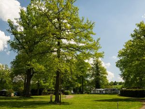 Camping im Eichenwald