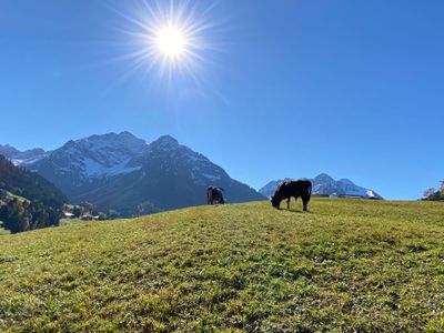 vom Grundstück Blick nach Süden