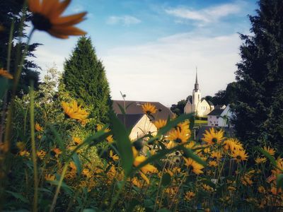 Neundorf im August