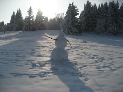 Schneemann :-)