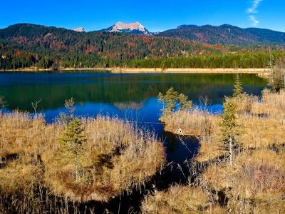 Barmsee-Schilf-Moor