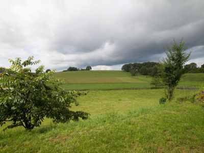 Blick ins Grüne