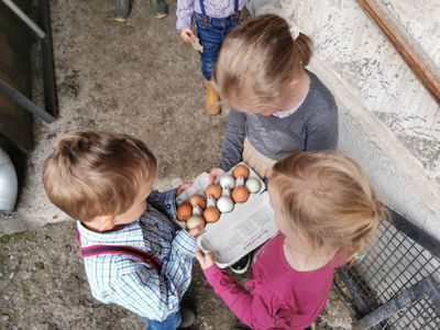 fleißige Helfer beim Eier holen