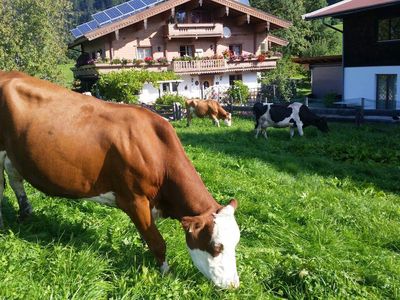 Natur Pur vor dem Haus !